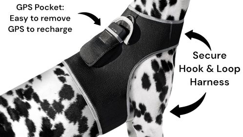 NEW GPRS GSM Small Pet GPS Tracker Waterproof Security for Cat & Dog Size:XS