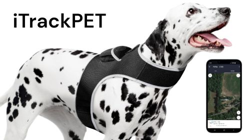 USB Rechargeable Pet Security Pocket GSM GPRS GPS Dog Tracking Device Size:XXL